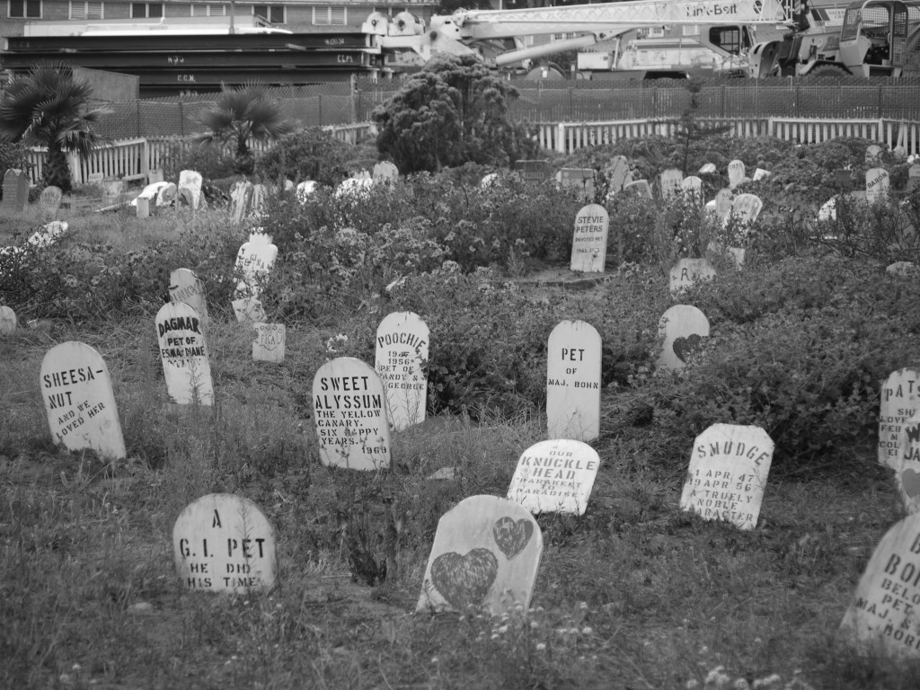 Grave markers in the Presidio Pet Cemetery