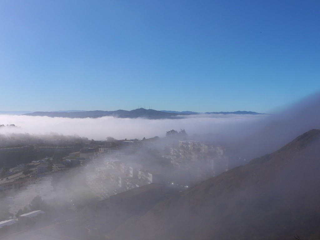Looking south from Twin Peaks, fog blanketing the city.